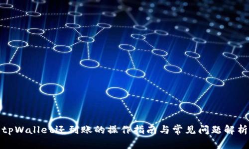 tpWallet还到账的操作指南与常见问题解析